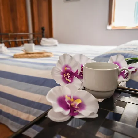 住宿加早餐酒店 Casa Giuliana 利帕里